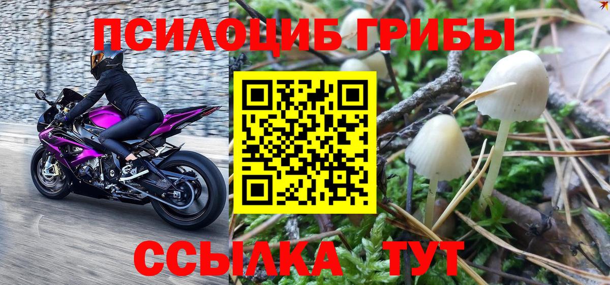 Галлюциногенные грибы мухоморы  Вход с VPN  Астрахань 