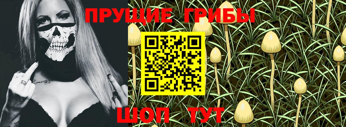 Псилоцибиновые грибы Magic Shrooms Астрахань