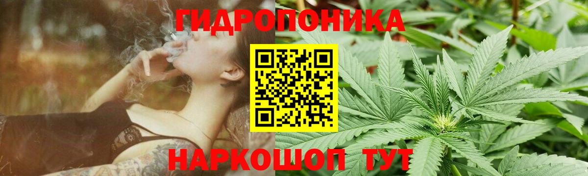 Конопля AK-47  Конопля THC 21%  Канабис конопля  Астрахань  Вход с VPN  Конопля тримм 
